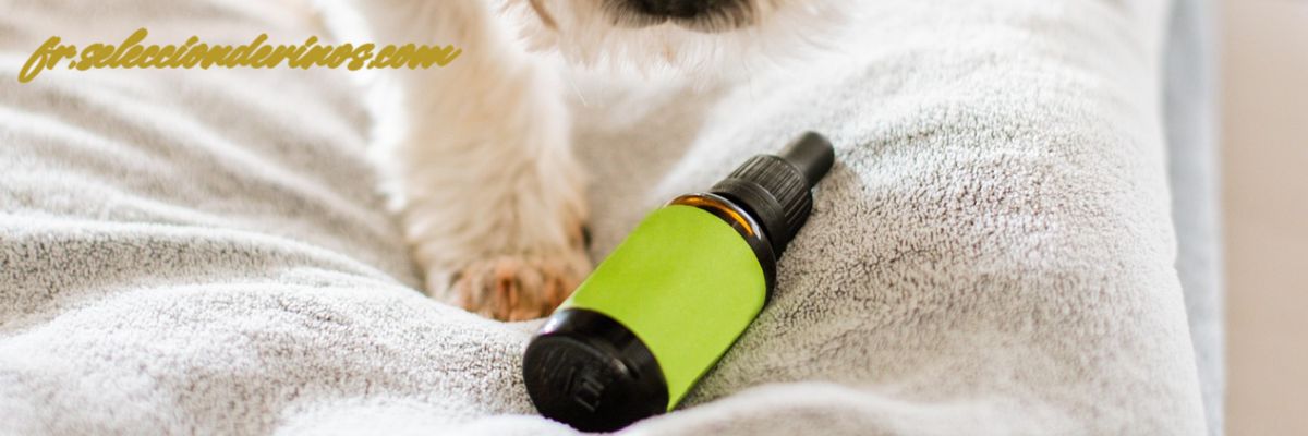 fr.selecciondevinos.com